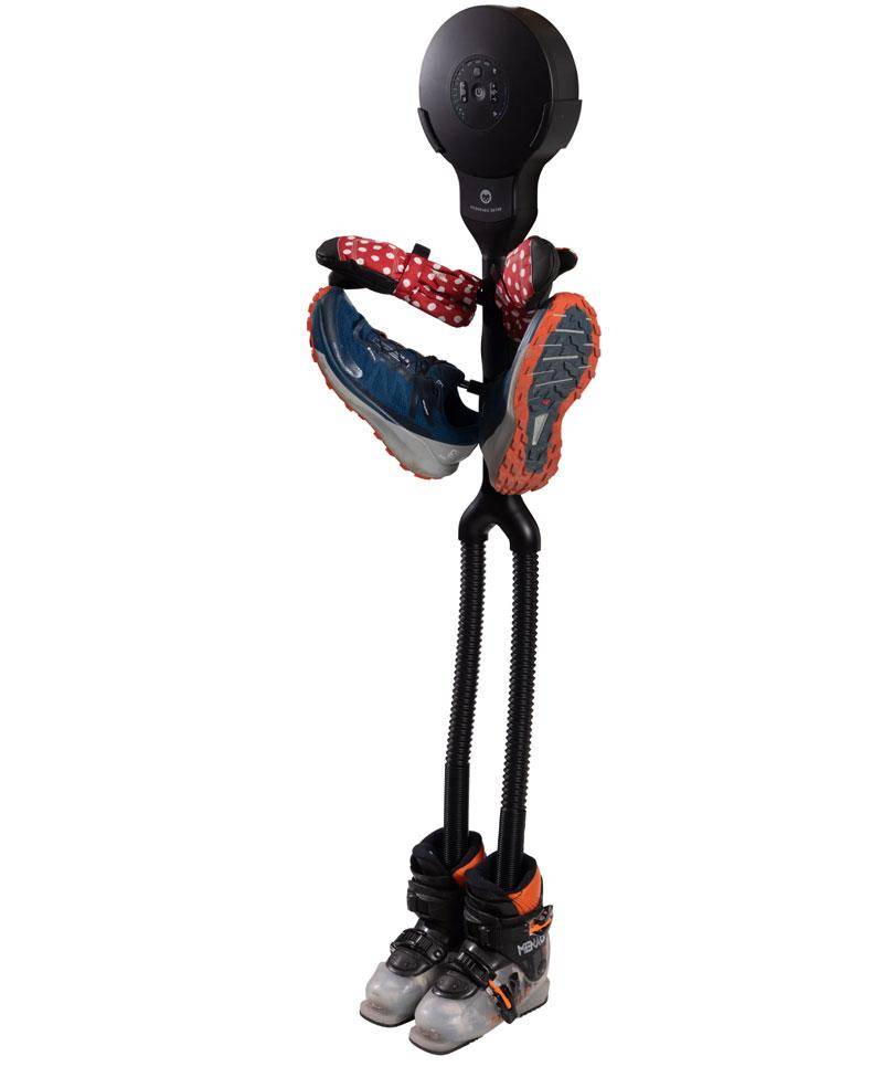 BLISTER review of Hedgehog Buddy